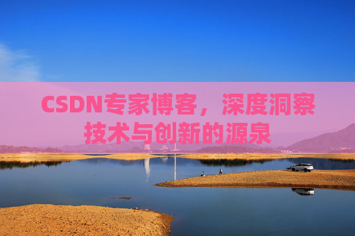 CSDN专家博客，深度洞察技术与创新的源泉